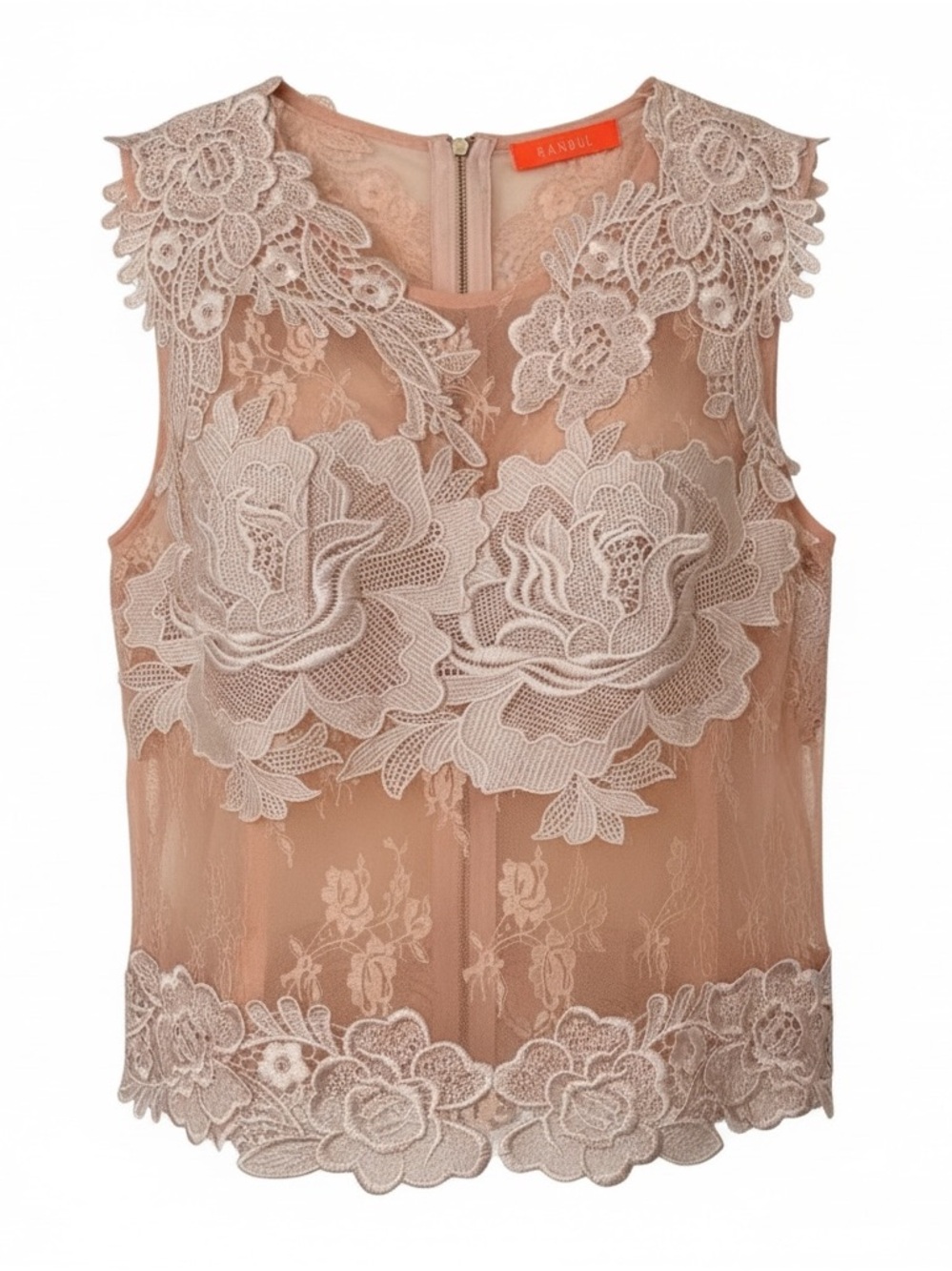 Banjul Blush Pink Sheer Lace 3D Floral Appliqué Top